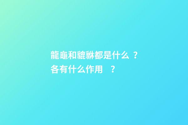 龍龜和貔貅都是什么？各有什么作用？